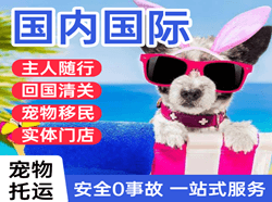 衢州航空空运国际宠物托运 【国